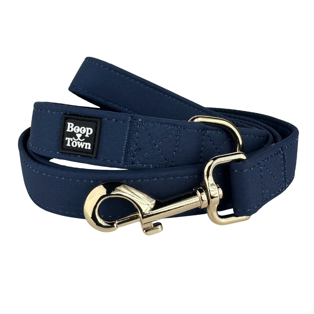 Dog Leashes