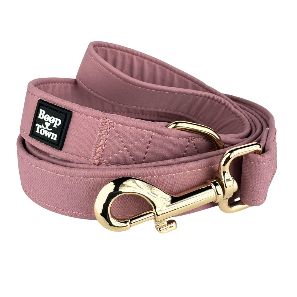 Dog Leashes