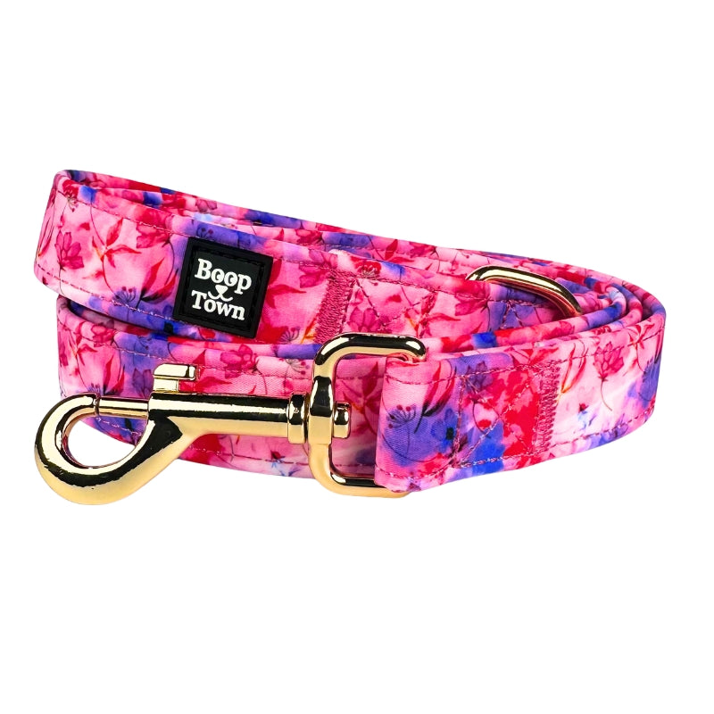 Dog Leashes